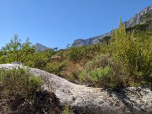 Photo: South Afican mtb Experience natuur