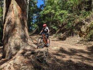 Photo: South African mtb Experience Kaapstad trail