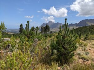 Photo: Zuid Afrika mtb Experience natuur